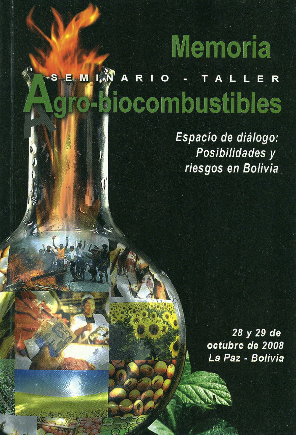 Memoria seminario taller agro-biocombustibles.