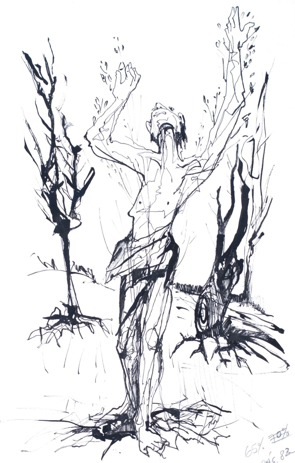 El Bala: el segundo “lago” más grande de Bolivia que vivirá 100&nbsp;años