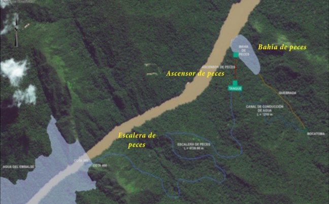 Ascensor de peces copy