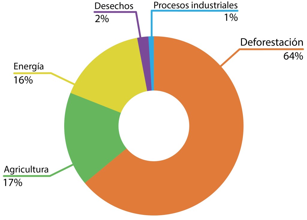 81% de las emisiones de Bolivia son por DEFORESTACIÓN y&nbsp;AGRICULTURA