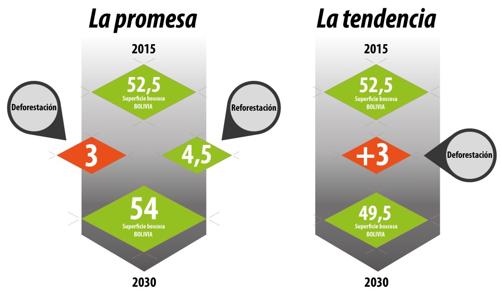Bolivia: Deforestar para…&nbsp;¿Reforestar?