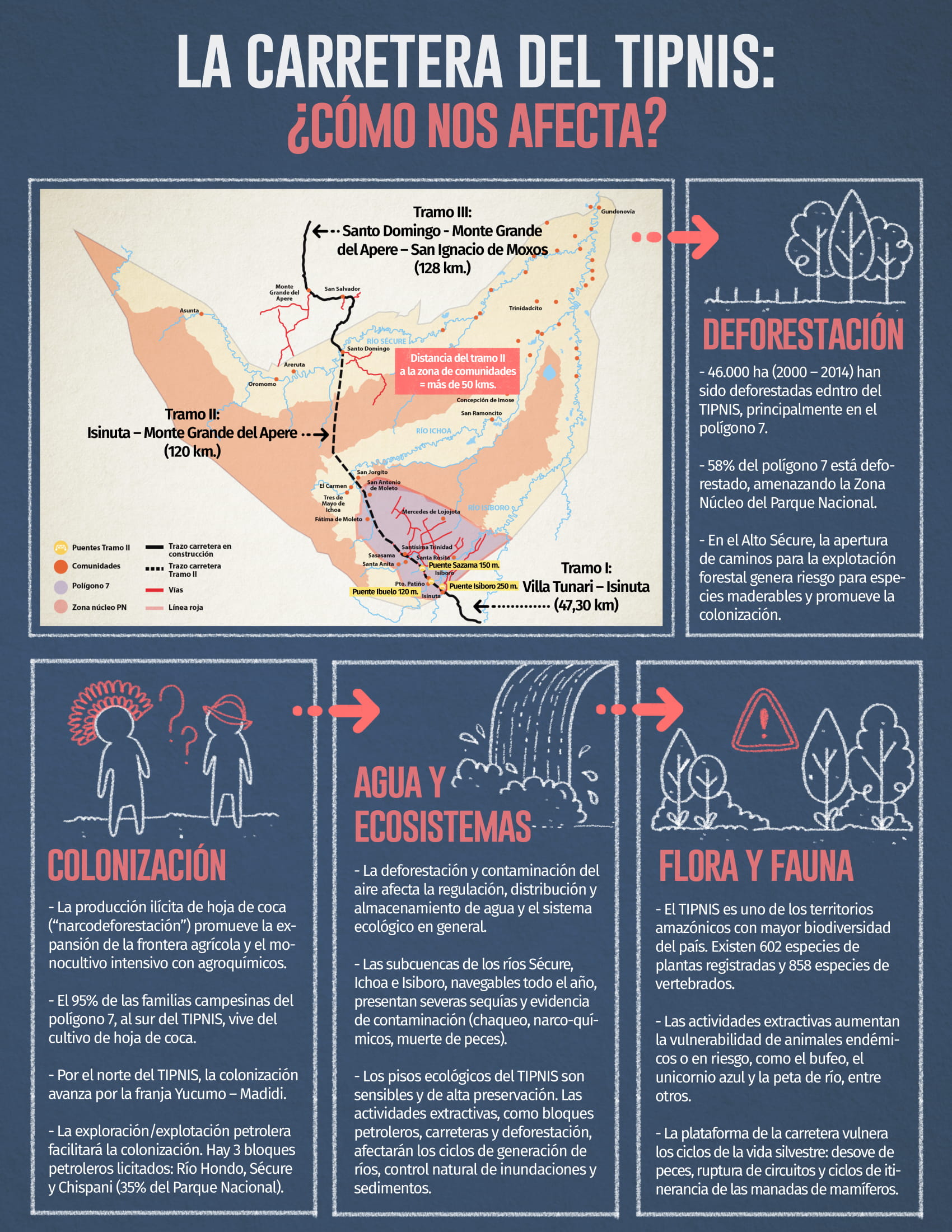 infografia tipnis 01-1