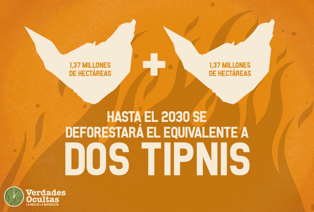 Superficie equivalente a dos TIPNIS será deforestada hasta&nbsp;2030