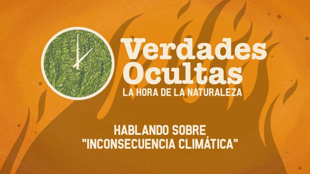 Alertan que hasta 2030 se deforestará igual a dos&nbsp;Tipnis