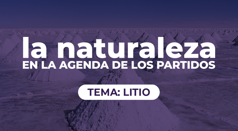 Litio: Mucho ruido y pocas&nbsp;nueces