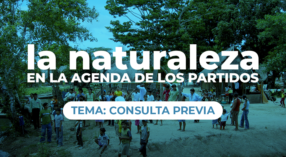 Consulta previa: incertidumbre y&nbsp;omisiones