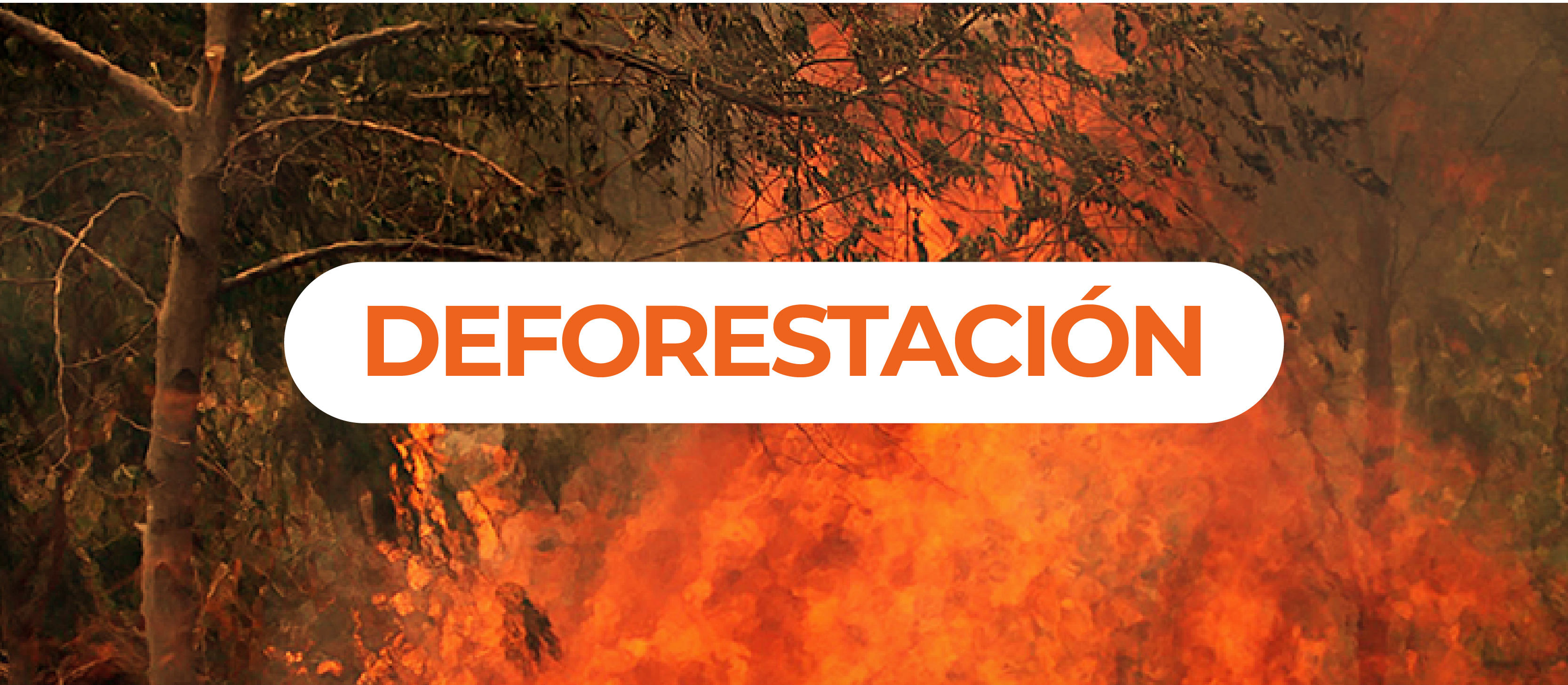 banners agendanat-06