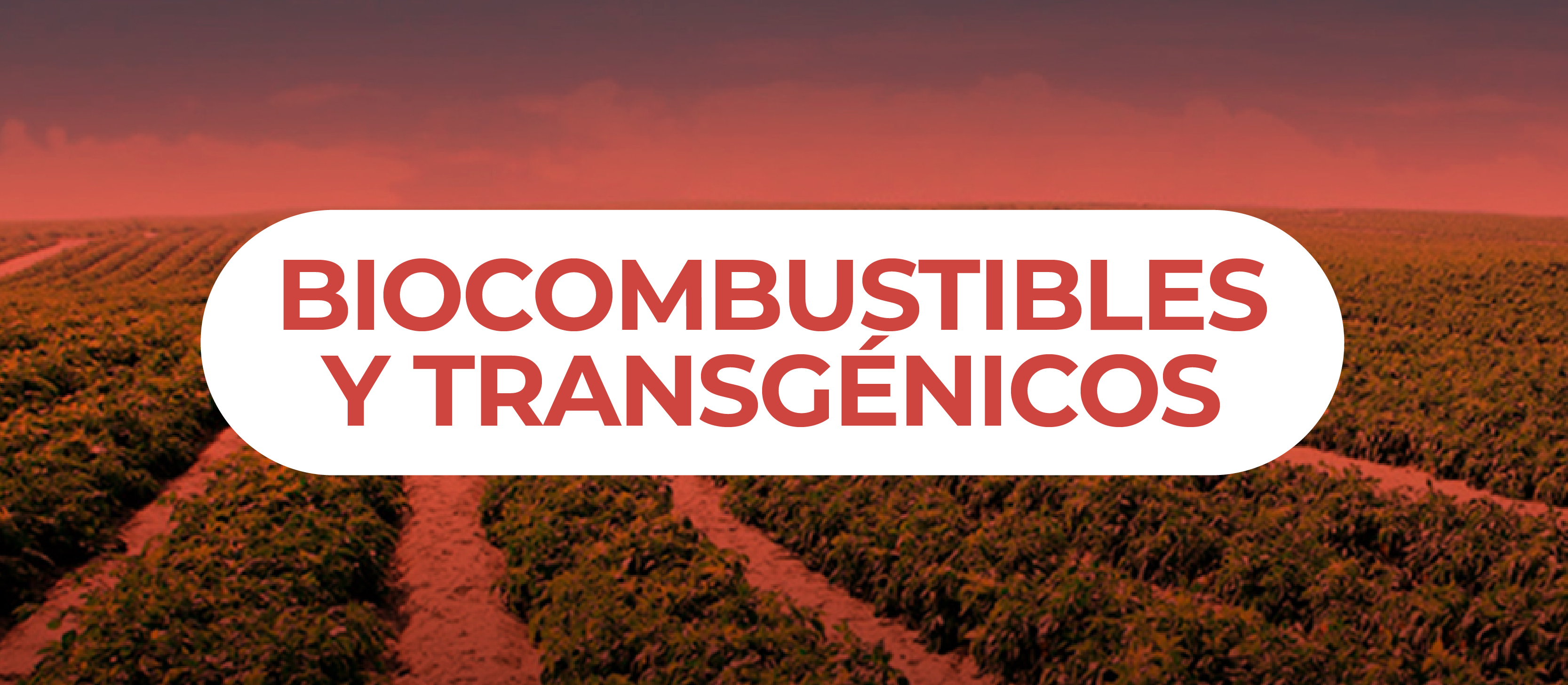 banners agendanat-14