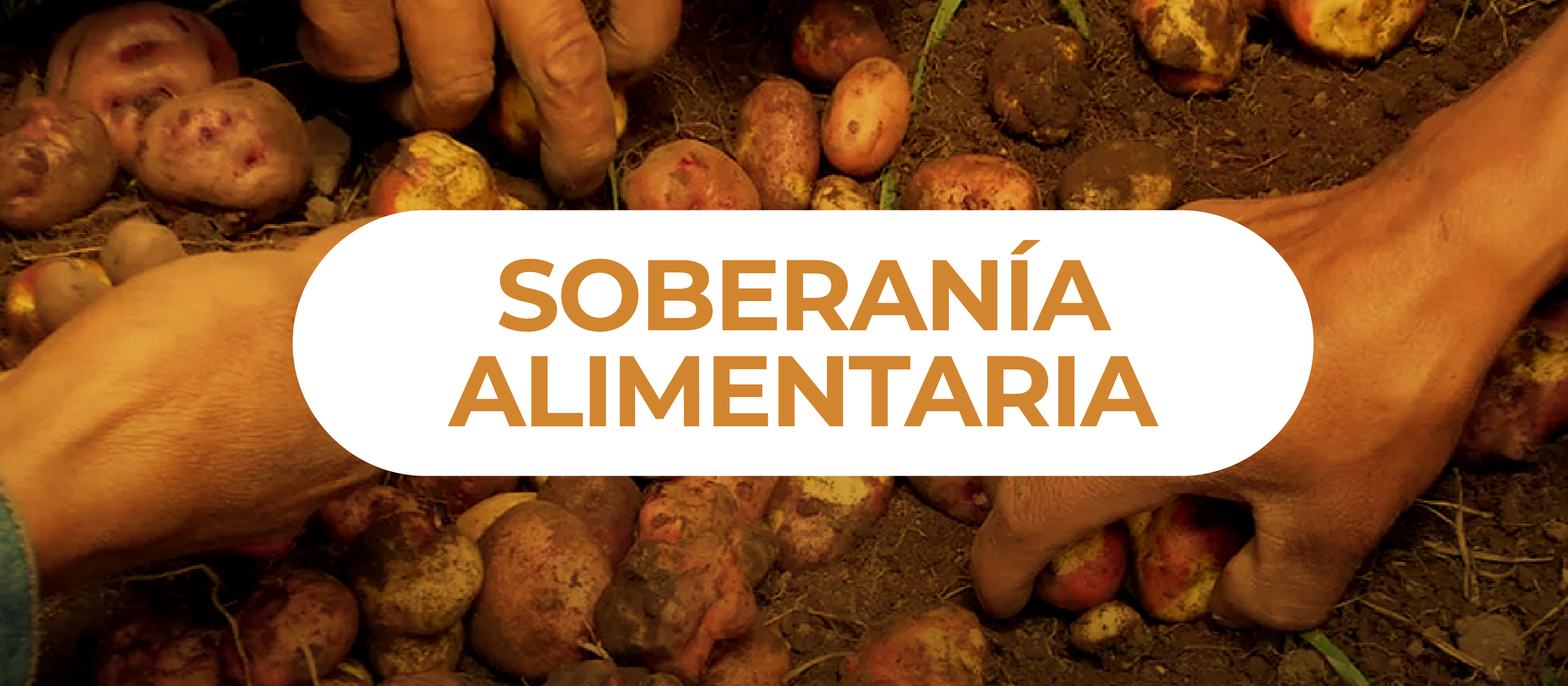 banners agendanat-15