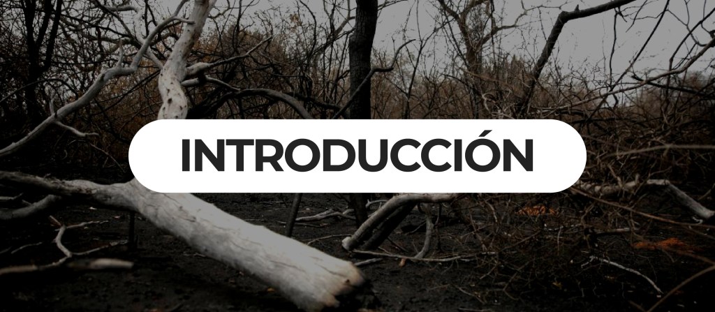 Introducción a la «La Naturaleza en la Agenda de los&nbsp;Partidos»