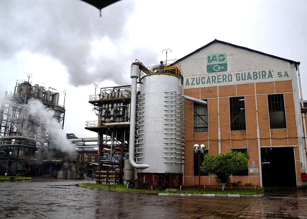 Biomasa: Del bagazo de caña al pasto de&nbsp;Uganda