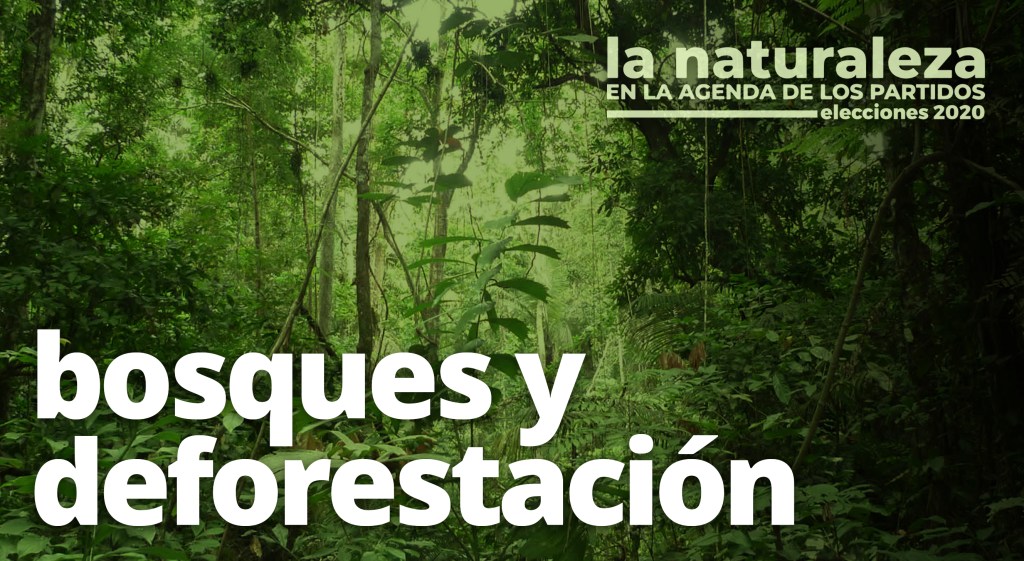 Ecocidio de la Chiquitanía: ¿Qué aprendieron los partidos&nbsp;políticos?