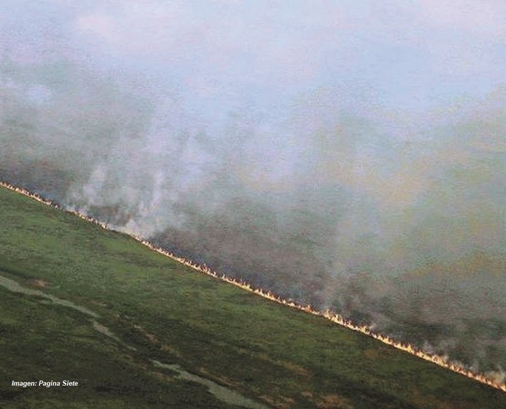 1.386 focos de calor en áreas boscosas durante febrero&nbsp;2021