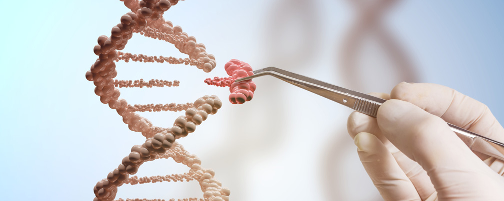 Suicidio Transgénico