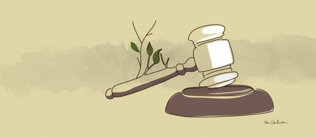 La Evaluación de Impacto Ambiental y el derecho&nbsp;internacional