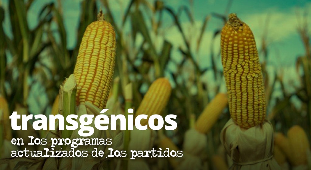 Transgénicos: Tras el voto del&nbsp;agronegocio