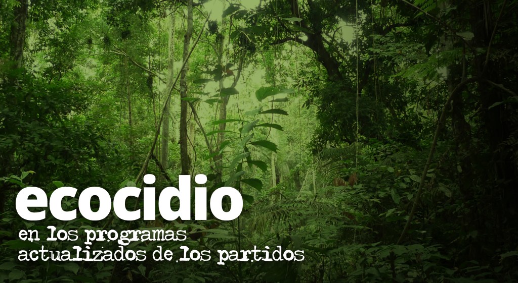 Bosques: Sin lecciones de fondo de la&nbsp;Chiquitania
