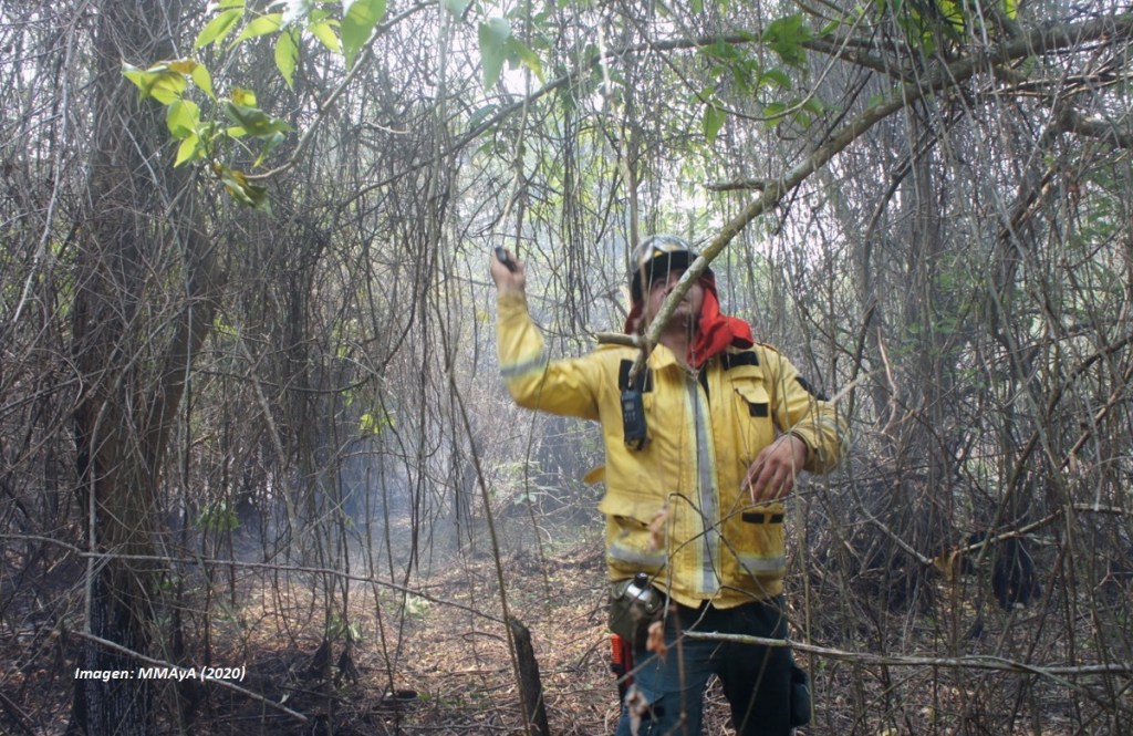 Octubre del 2020 presenta tres veces más focos de calor que en el&nbsp;2019