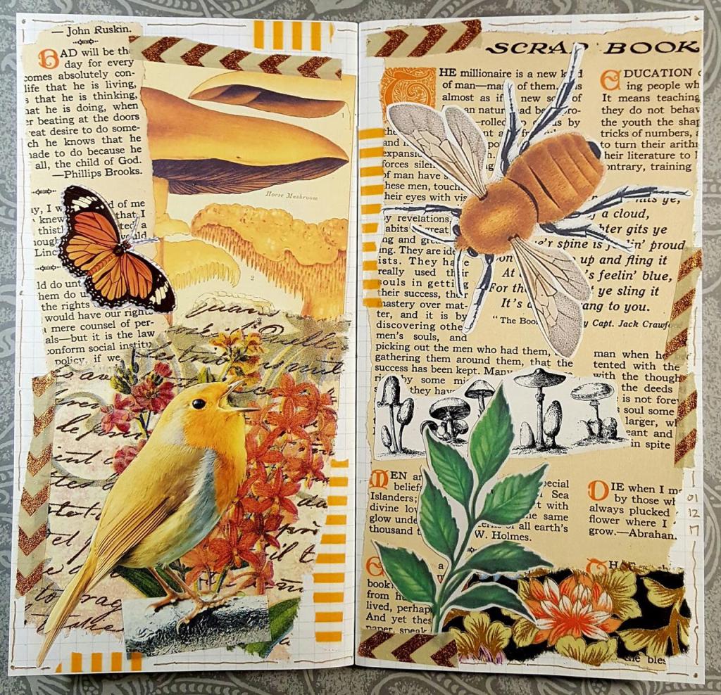 ¿Cuál es la importancia de una legislación contra el&nbsp;Ecocidio?