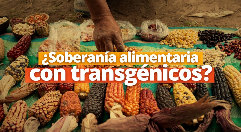 ¿Soberanía alimentaria con&nbsp;transgénicos?