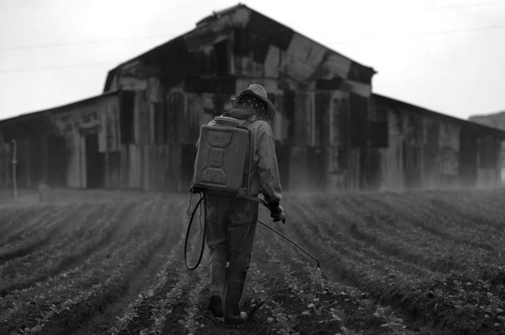 Las dinámicas del mercado: lucrando con la degradación ambiental y la salud&nbsp;humana