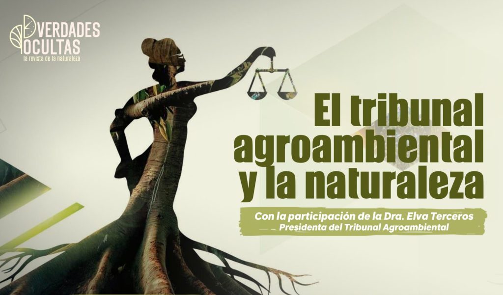 El Tribunal Agroambiental y la&nbsp;Naturaleza
