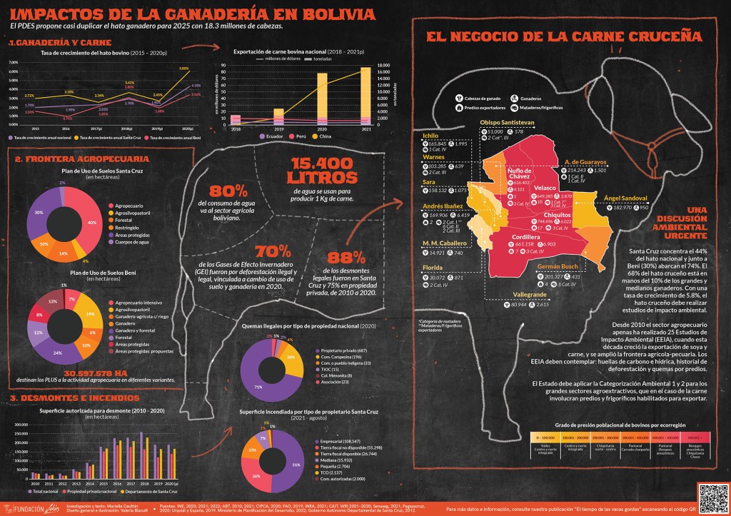 Infográfica: Impactos de la ganadería en&nbsp;Bolivia