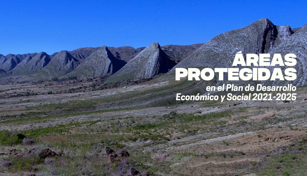 Áreas protegidas: Ausencia de propuestas frente al&nbsp;atropello