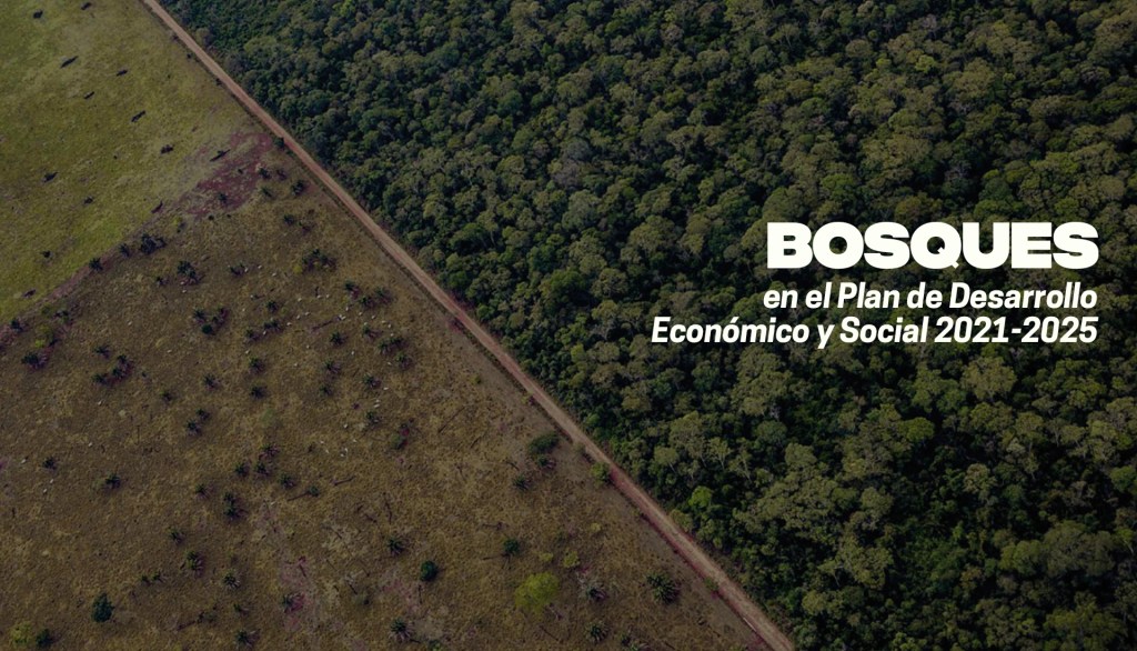 Bosques: Sin metas claras para reducir la&nbsp;deforestación