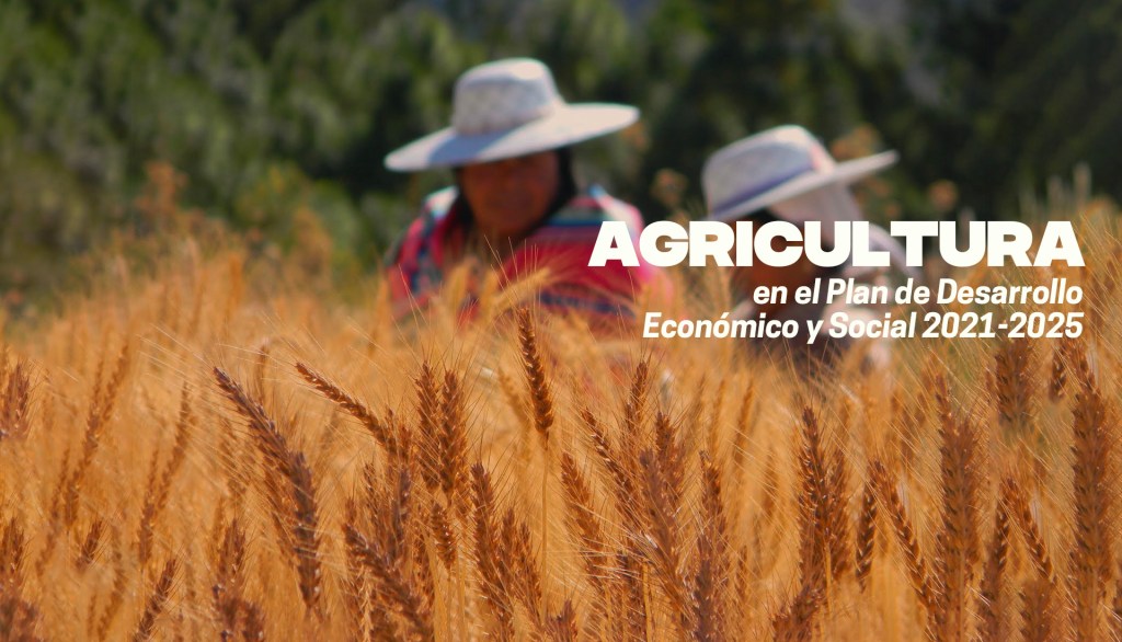 Agricultura boliviana: Planes, programas, estrategias y aspiraciones&nbsp;pomposas
