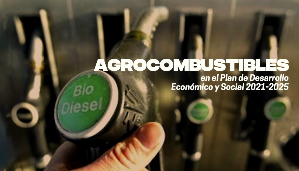 Agrocombustibles: Una propuesta a favor de la&nbsp;agroindustria