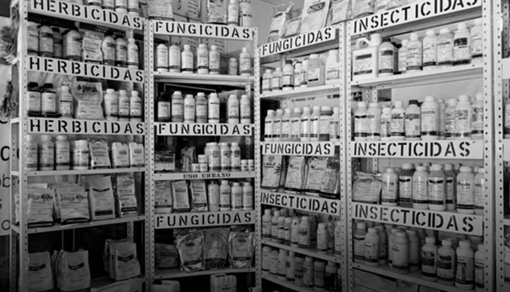 Ante alza de precios, gobierno libera de arancel la importación de todo tipo de&nbsp;pesticidas