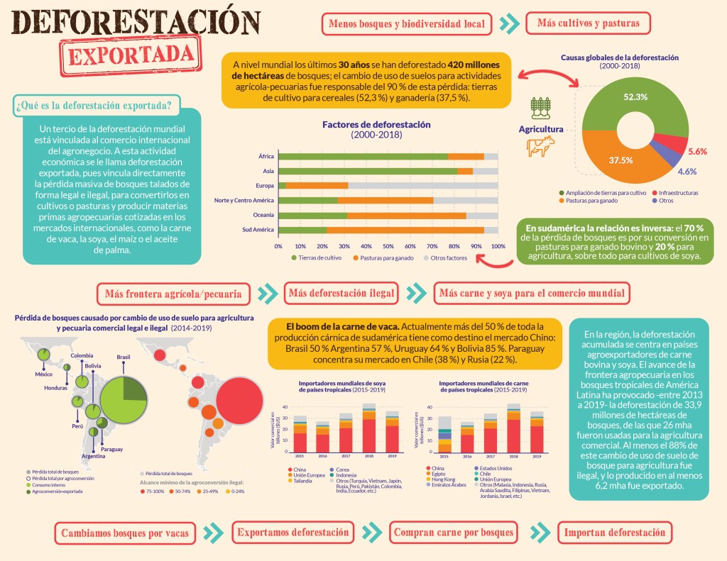 Infográfica: Deforestación exportada