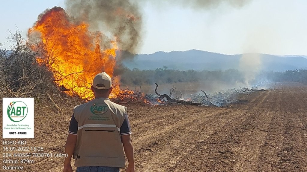 Bolivia, el país con la multa más barata por&nbsp;deforestar