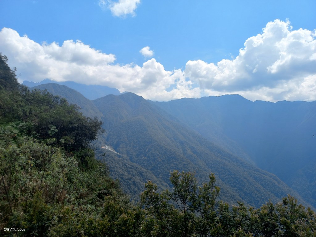 Más allá del modelo cruceño: incidencia de quemas en áreas protegidas del occidente del&nbsp;país