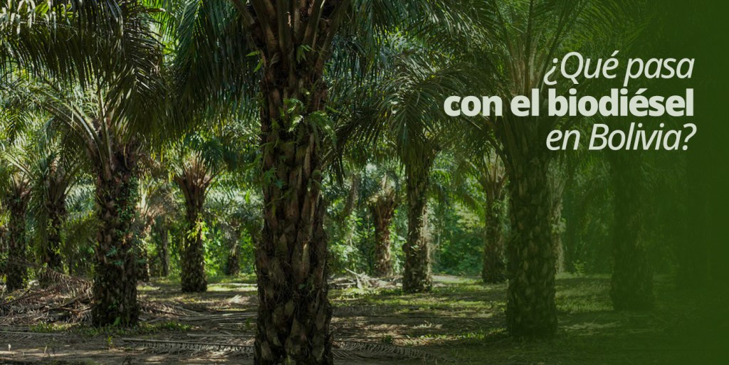 Síntesis: lo que no se dice sobre el&nbsp;biodiésel