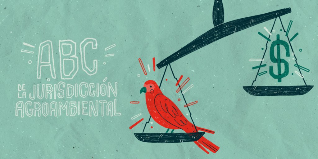 TUNUPA 123: ABC de la jurisdicción&nbsp;agroambiental