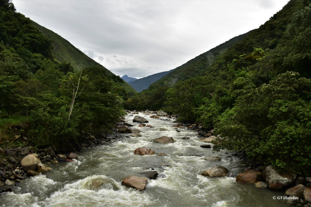 Huarinilla: El fatídico ocaso de un río&nbsp;yungueño