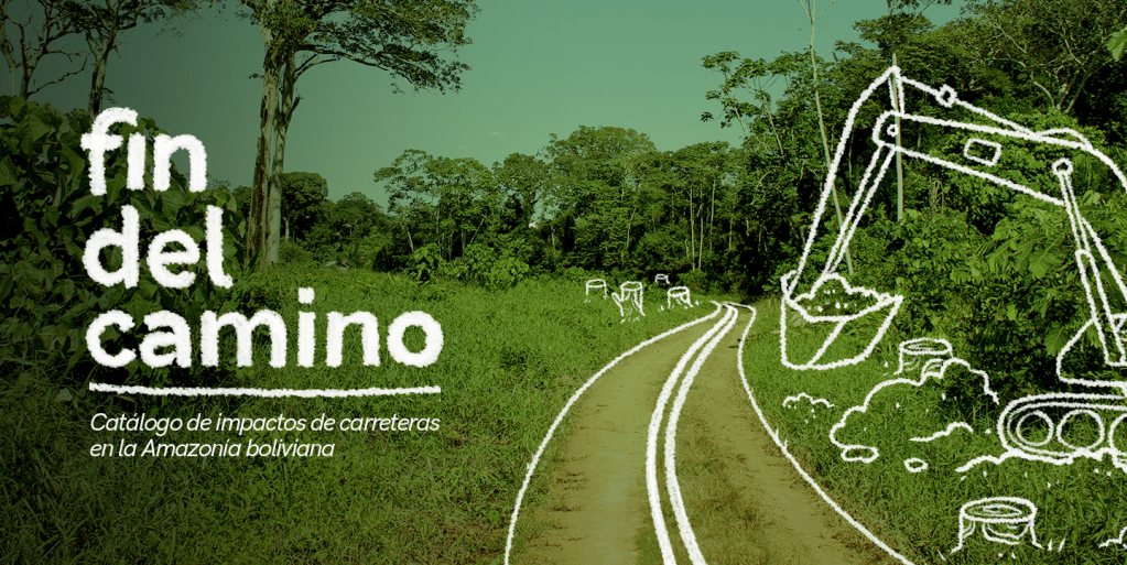 Infográficas: Catálogo de impactos de carreteras en la Amazonía&nbsp;boliviana