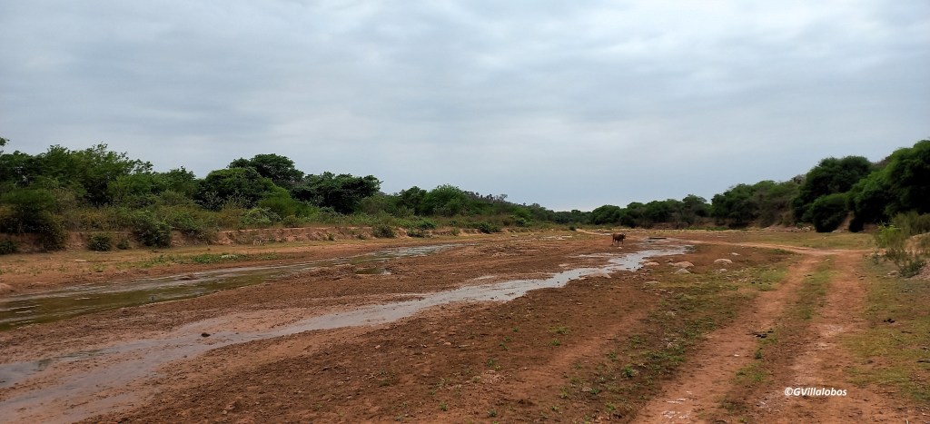 Presupuesto raquítico para una sequía&nbsp;previsible