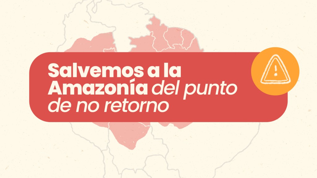 Salvemos a la Amazonía del punto de no&nbsp;retorno