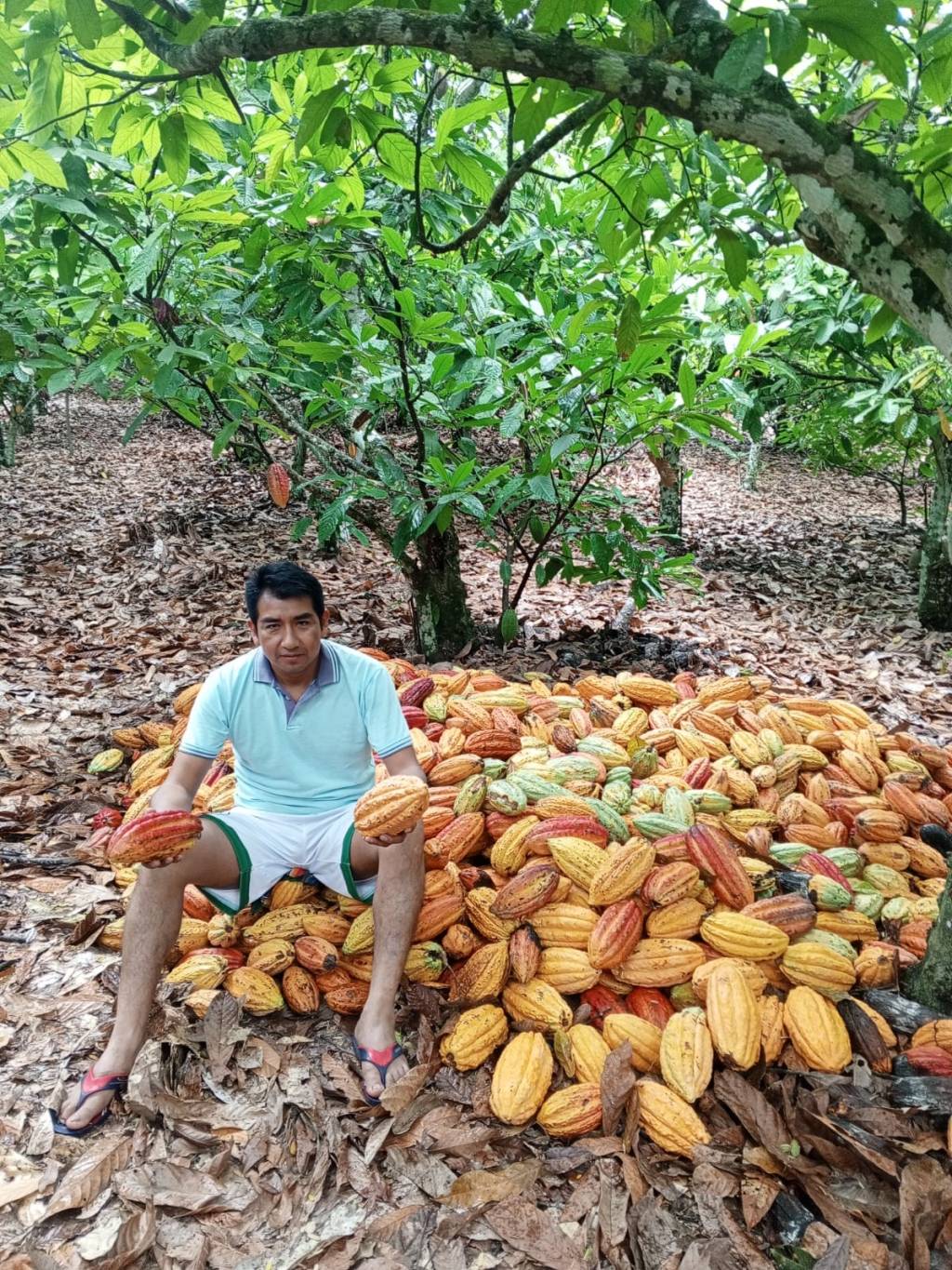 Si el chocolate fuera&nbsp;oro