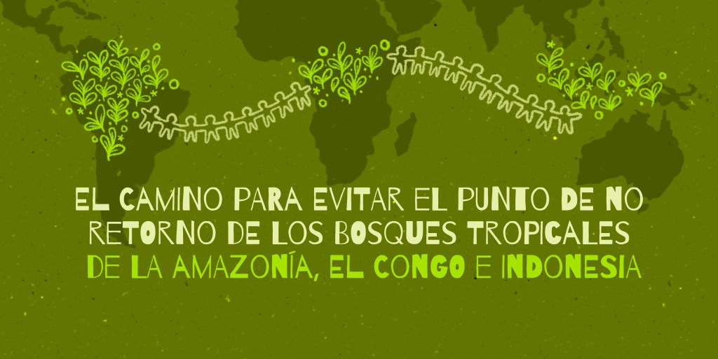 El camino para evitar el punto de no retorno de los bosques tropicales de la Amazonía, el Congo e&nbsp;Indonesia
