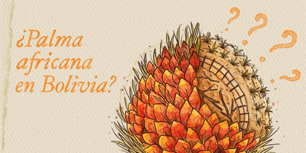 La Palma africana amenaza a los bosques amazónicos y los pueblos indígenas en la Amazonía&nbsp;boliviana