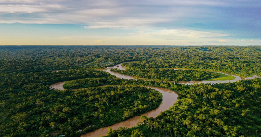 Convocatoria: Comunicador/a