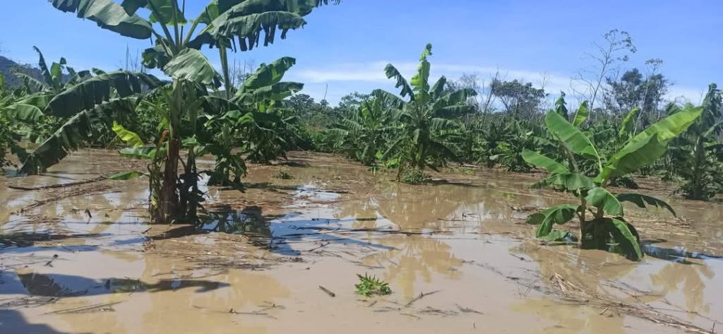 San Buenaventura  y Rurrenabaque en emergencia: Declaran desastre municipal por lluvias e&nbsp;inundaciones