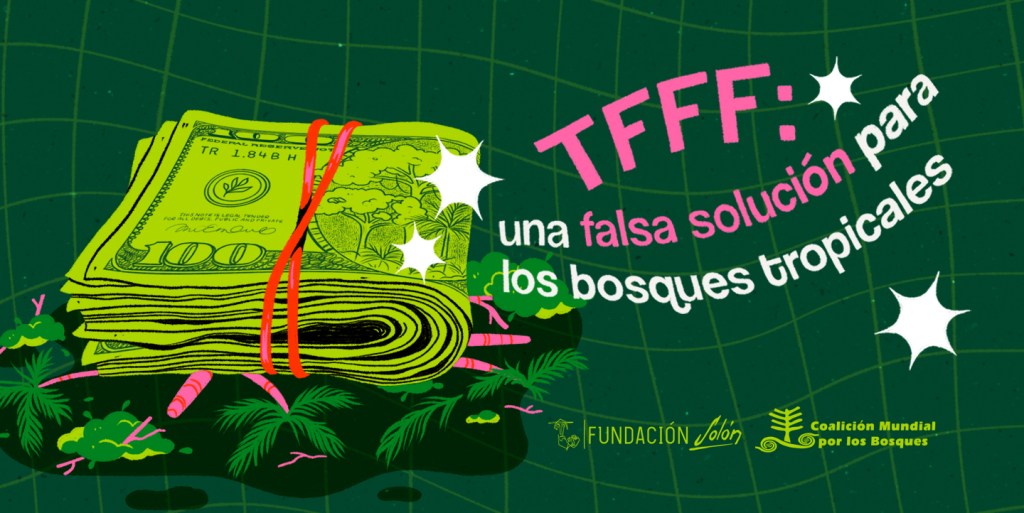 TFFF: Una falsa solución para los bosques&nbsp;tropicales