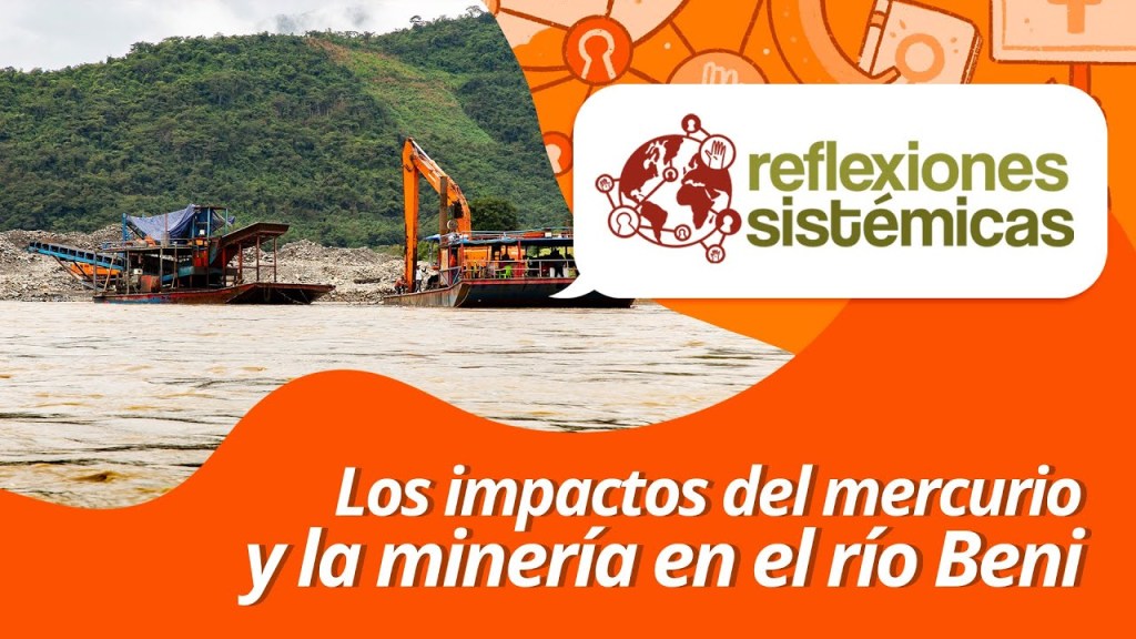 Los impactos del mercurio y la minería en el río&nbsp;Beni