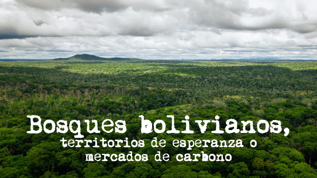 Bosques Bolivianos, territorios de esperanza o mercados de&nbsp;carbono