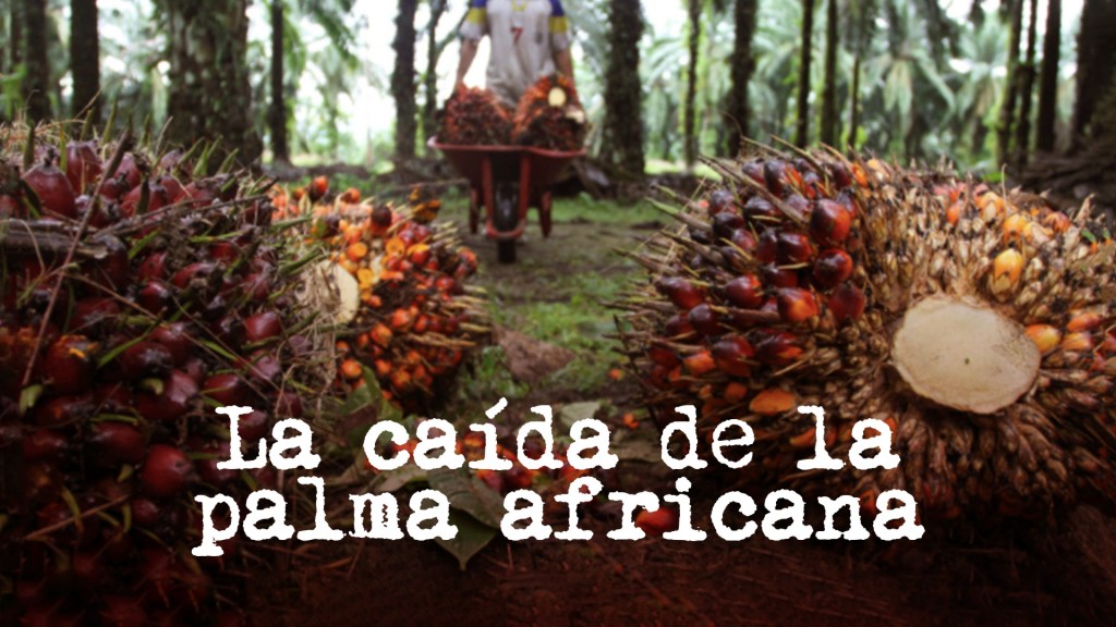 La caída de la palma&nbsp;africana